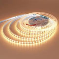 Premium LED Bulb - LED | Energy Saving