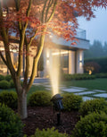 Premium Lighting Fixture
