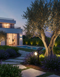 Premium Lighting Fixture