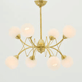Premium Chandelier - Luxury Ceiling Light