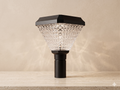 Solar-powered outdoor lighting unit with a "fiber optic" design in the shape of a plant