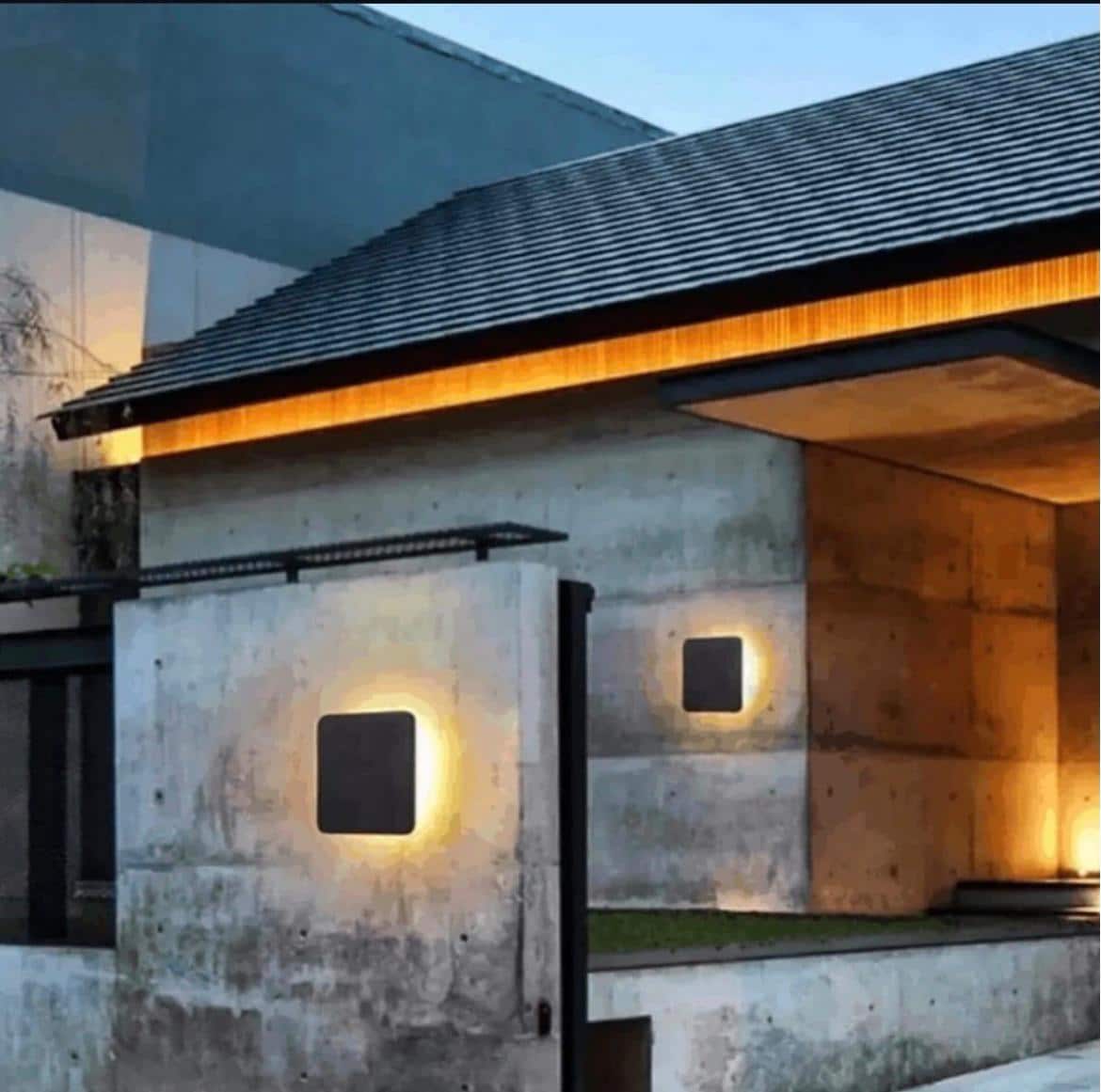 Premium Wall Lamp - Wall Sconce