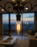 Premium LED Bulb - LED | Energy Saving
