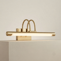 Brushed nickel picture and vanity LED light