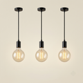 Clear glass dome pendant light with Edison bulb