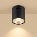 Tall black cylindrical surface-mounted spotlight